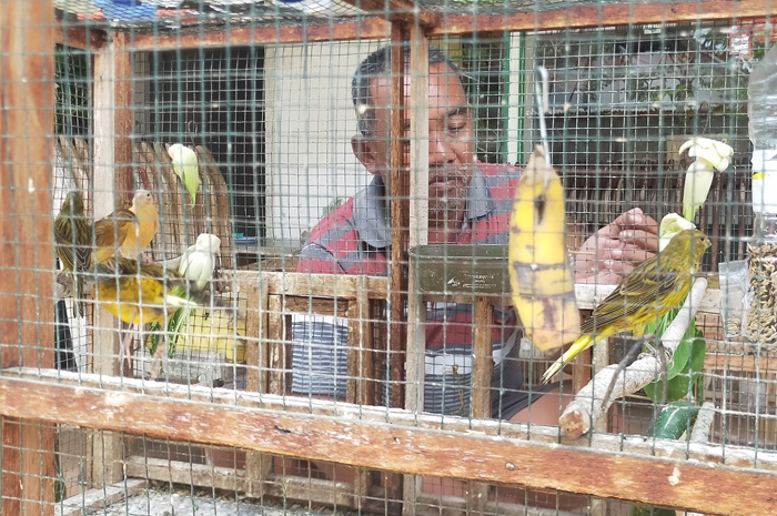 PROSPEK BISNIS: Berawal dari hobi Fatqurohman kini panen cuan dari hasil budi daya burung kenari.