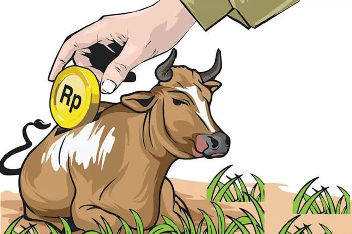 Ilustrasi Bantuan Ternak di Kabupaten Jombang
