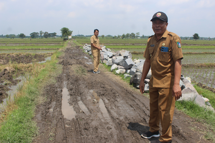 Sugito, Kades Kedungturi didampingi Syamsul Hidayat Sekdes Kedungturi saat meninjau material yang siap dipakai pembangunan JUT