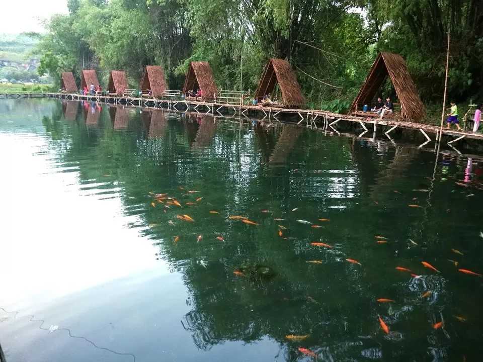 Ekowisata rumpun bambu beron di Tuban