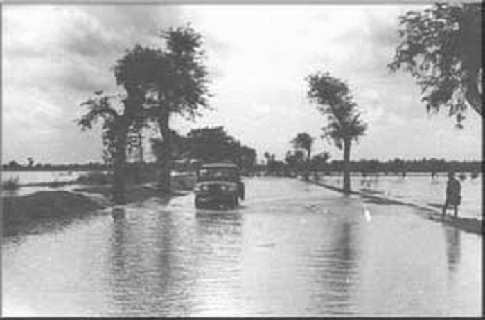 Foto-foto yang bersumber dari Kantor Djapenpro (Djawatan Penerangan Provinsi) Jawa Timur menggambarkan kondisi banjir besar saat melanda Bandarkedungmulyo tahun 1963