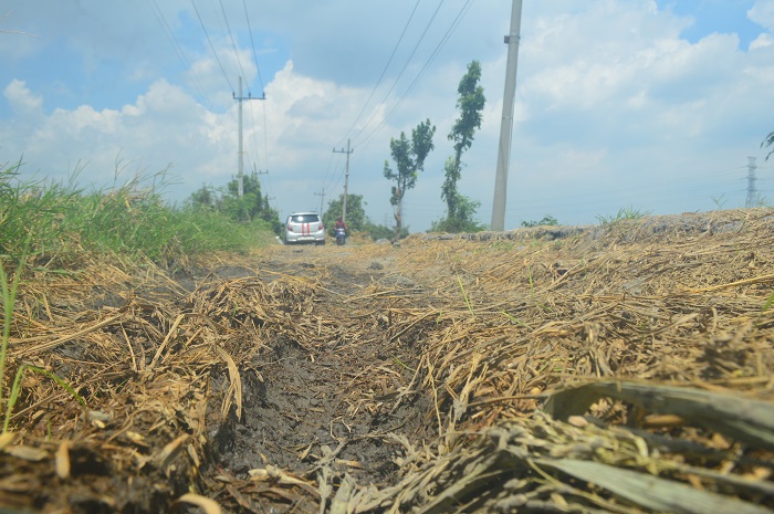 jalan kabupaten di Desa Jatigedong, Kecamatan Ploso, Jombang yang rusak ini bakal ditangani pemerintah pusat