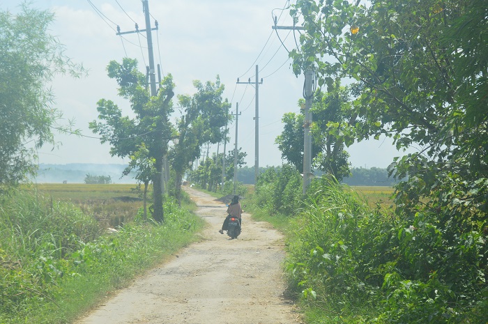 DIPERBAIKI: Jalan kabupaten di Desa Jatigedong, Kecamatan Ploso, Jombang bakal dicor dan dilebarkan.