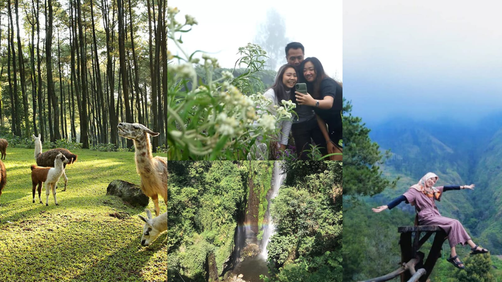 Deretan siwata alam di pasuruan ini terletak di pegunungan dan bisa jadi solusi healing bareng keluarga