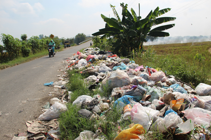 Tumpukan sampah di pinggir jalan kabupaten penghubung Desa Tanjunggunung dan Desa dengan Desa Sumberagung Kecamatan Peterongan.