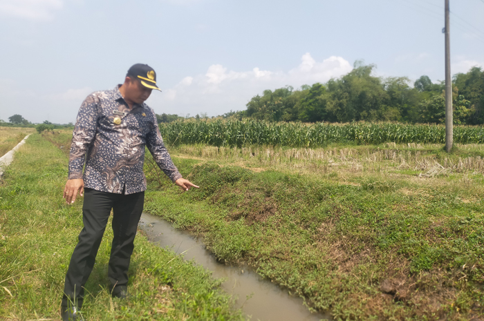 Kades Mundusweu menunjukkan lokasi saluran yang akan dibangun untuk memperkuat akses menuju embung di desanya.