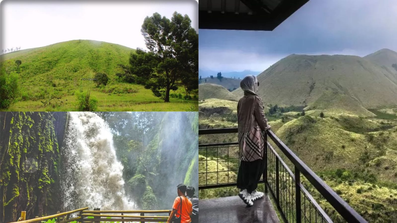 Ilustrasi wisata di Bondowoso yang cocok banget buat healing