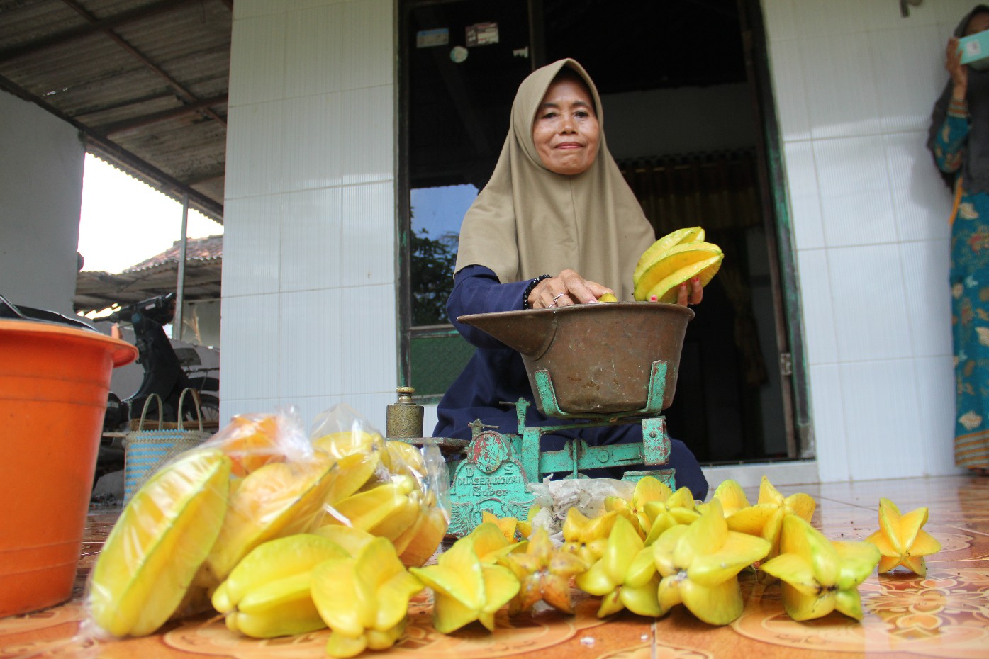 pembudi daya belimbing bangkok merah asal Dusun Kayen, Desa Kayen Kecamatan Bandarkedungmulyo saat menimbang hasil panen belimbing