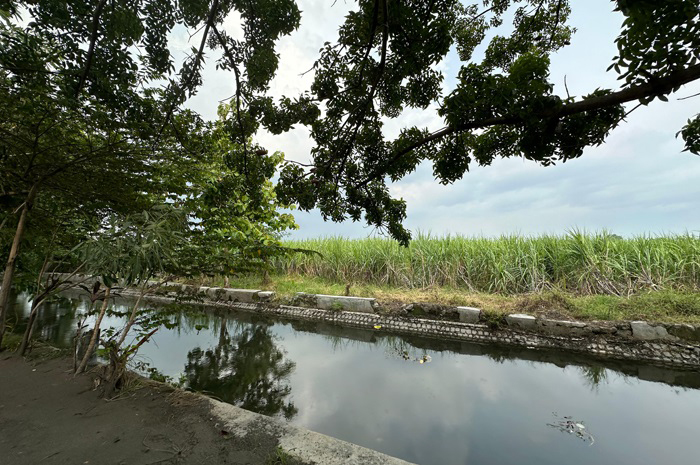 Lahan TKD milik pemdes Pandanwangi ini, direncanakan akan jadi relokasi RSUD Jombang, namun sampai saat ini prosesnya terganjal rekomendasi penlok dari Pemprov Jatim