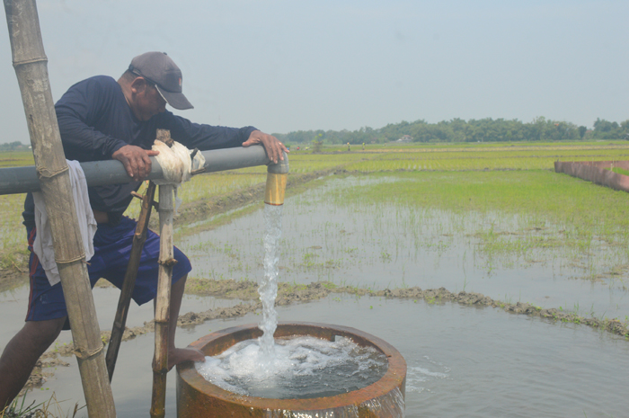 PAKAI SUMUR BOR: Salah seorang petani di Desa Gebangbunder, Kecamatan Plandaan menggunakan sumur bor untuk mengairi sawah.
