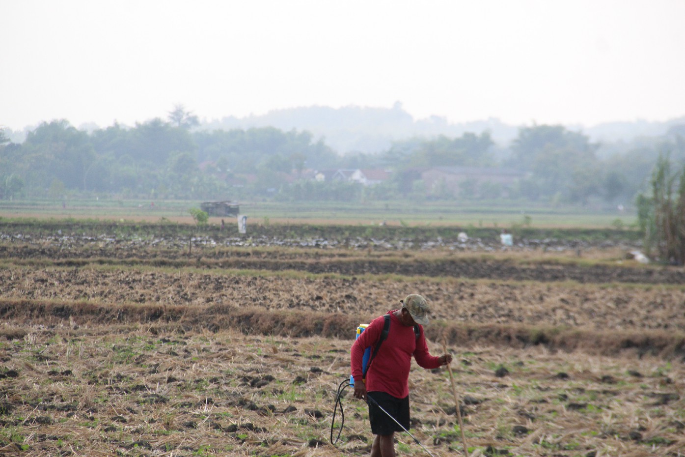 Salah seorang petani di Desa Gebangbunder, Kecamatan Plandaan, Jombang tengah menanam blewah imbas Dam Karet Jatimlerek jebol.
