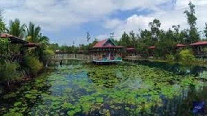 Lotus Garden, salah satu lokasi wisata di Merauke