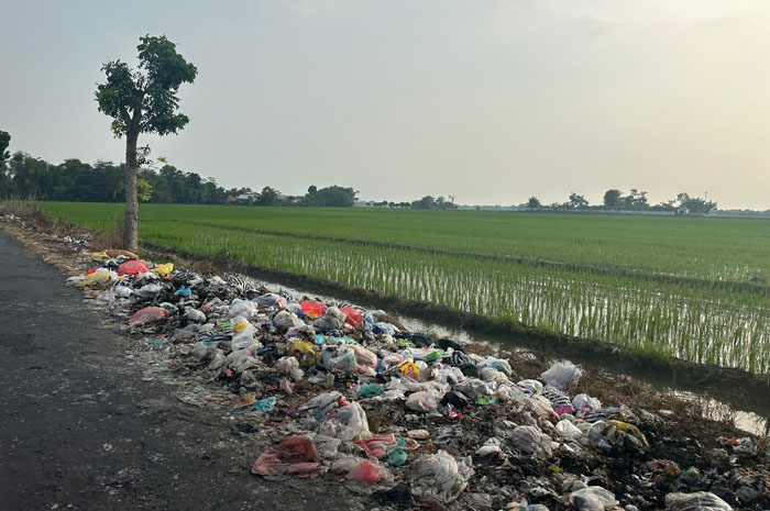 Sampah rumah tangga buangan warga menumpuk di bahu jalan Desa Belonggemek, Kecamatan Megaluh Jombang