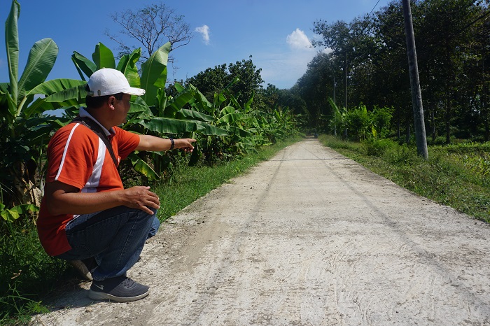 TUNJANG AKSES WARGA: Kepala Desa Jiporapah Hadi Sucipto menunjukkan jalan rabat beton di Dusun Tambak yang telah selesai dibangun.