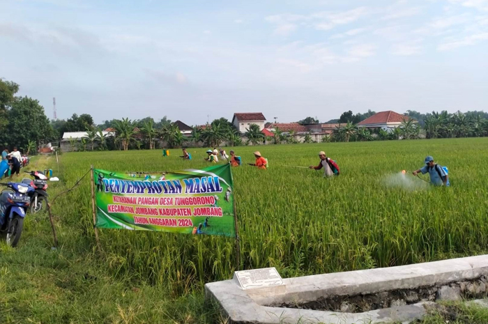 : Kepala Desa Tunggorono Didik Dwi Mulyawan bersama jajaran memantau kegiatan penyemprotan obat anti hama padi di wilayah persawahan Dusun Karang Kletak.