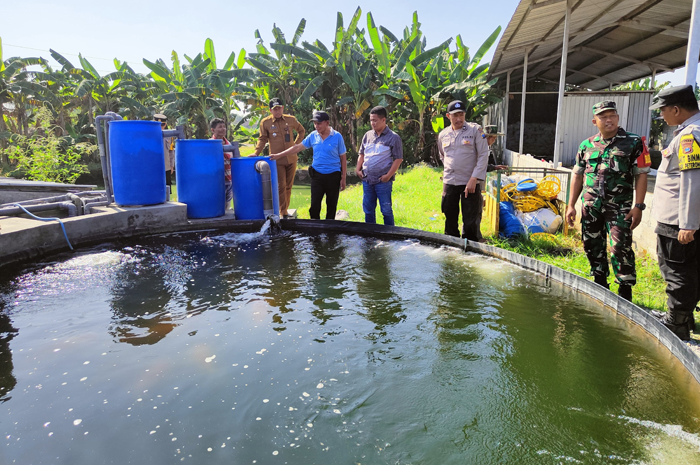 Kepala Desa Sumberagung Shodiqin didampingi Camat Peterongan M. Eryk Arif dan jajaran Forkopimcam Peterongan meninjau kolam ikan.