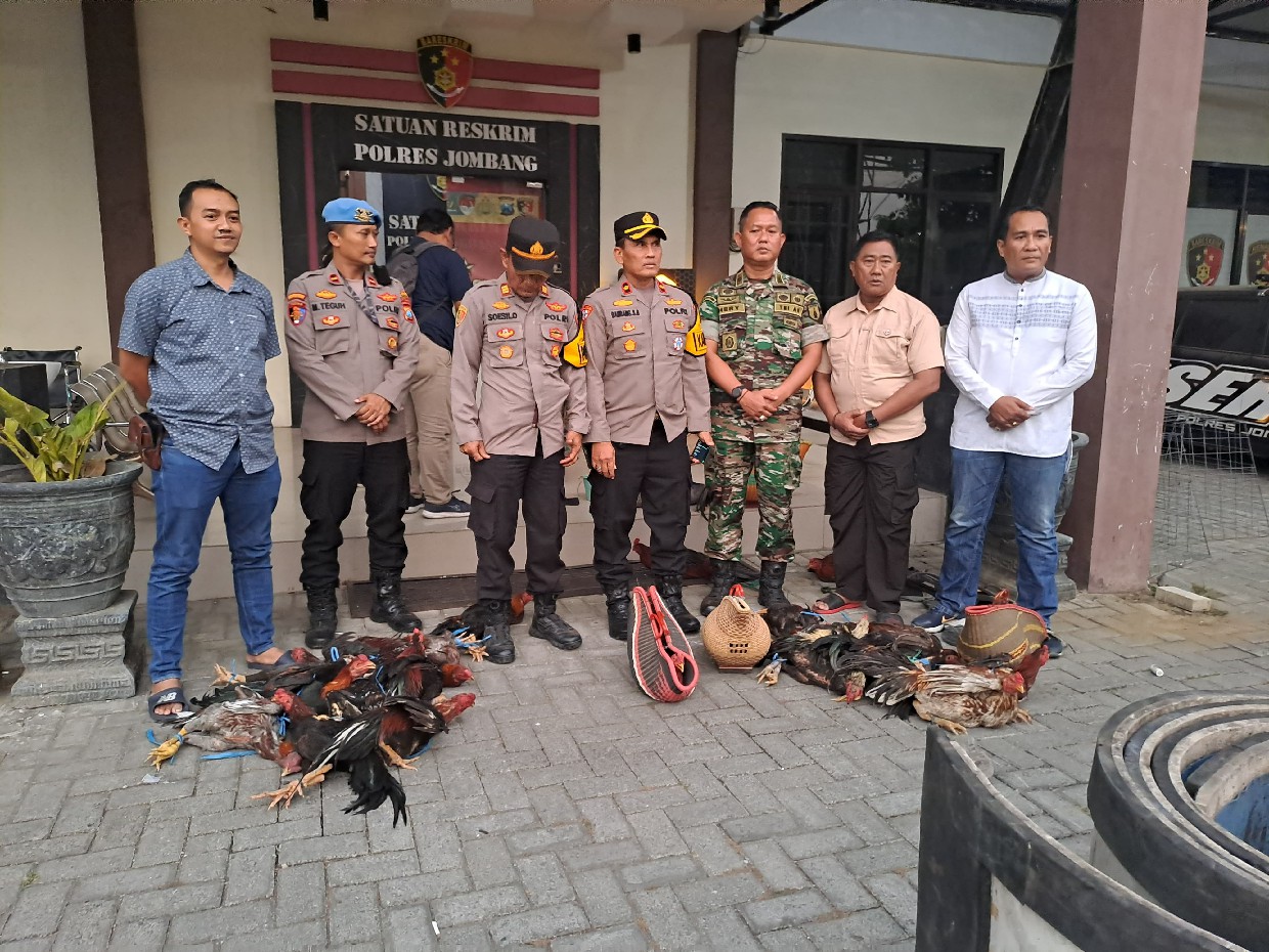 Polisi merilis hasil penggerebekan arena judi sabung ayam di Jombang