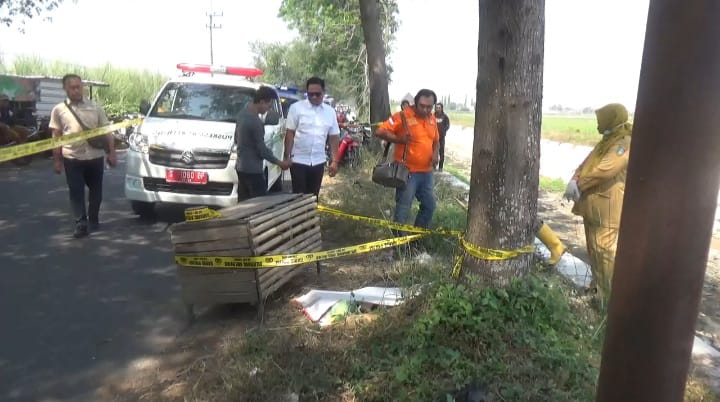 Lokasi penemuan jasad bayi di pinggir jalan kabupaten di Mojoagung Jombang Senin Pagi