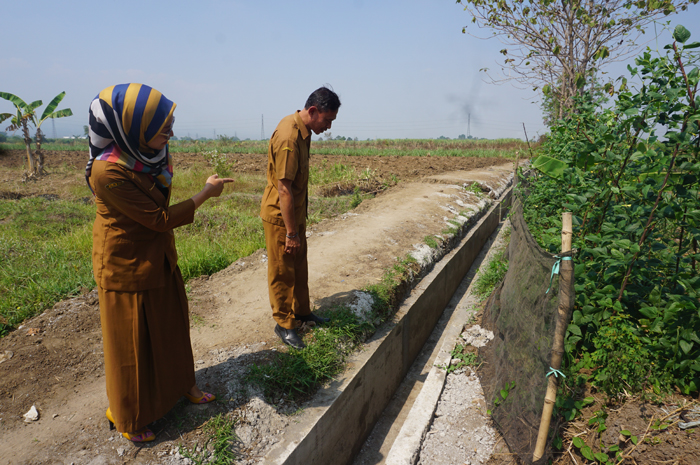 Kepala Desa Janti Siti Mahmudah menunjukkan lokasi pembangunan drainase di Dusun Kagulan yang telah selesai dikerjakan oleh TPK Desa Janti.