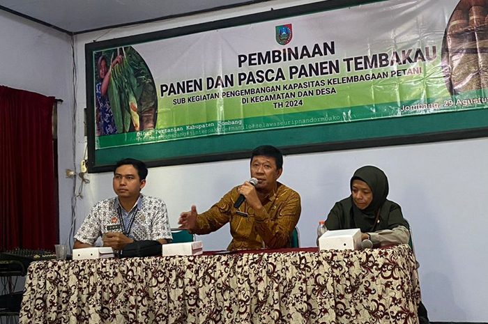 Pembinaan panen dan pasca panen tembakau di Jombang yang dibiayai Dana Bagi Hasil Cukai Hasil Tembakau (DBHCHT)
