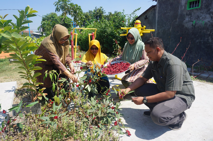 Lurah Kaliwungu Ade Yudha Kusuma menyaksikan proses olahan Tanaman Obat Keluarga (Toga) oleh warganya dengan memanfaatkan lahan terbatas dan fasum lingkungan.