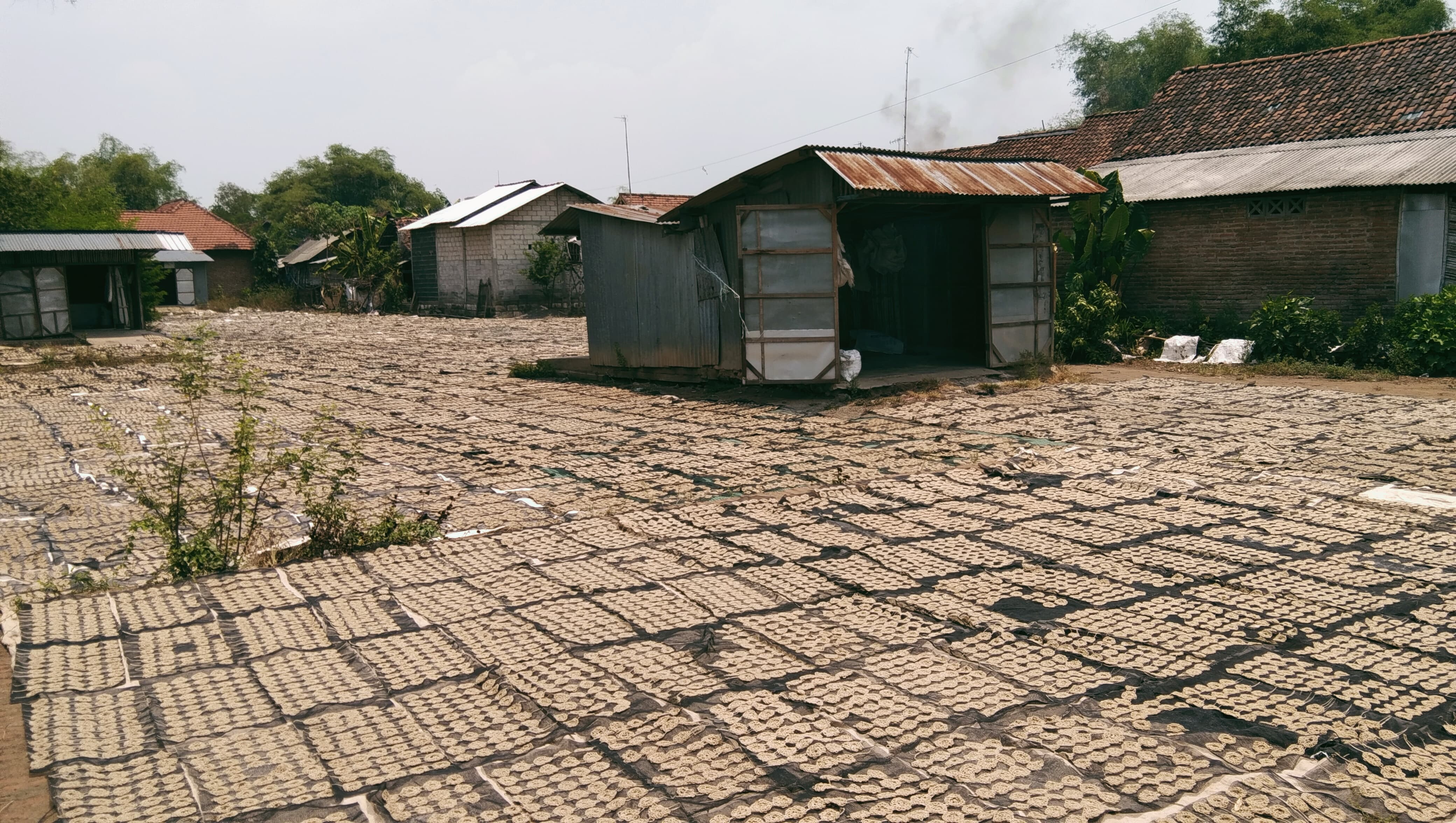 Proses penjemuran kerupuk uyel di Desa Segodorejo, Sumobito, Jombang