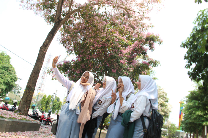 JADI SPOT FOTO: Sejumlah siswi SMK saat berswafoto dengan latar belakang bunga Tabebuya  di Alun-alun Jombang, kemarin (30/9).