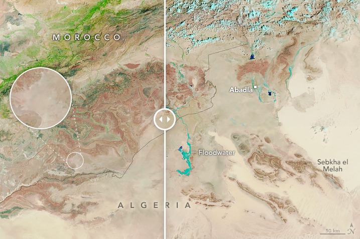 Citra satelit Eath Observatory NASA yang menunjukkan munculnya banyak titik hijau pada gurun Sahara