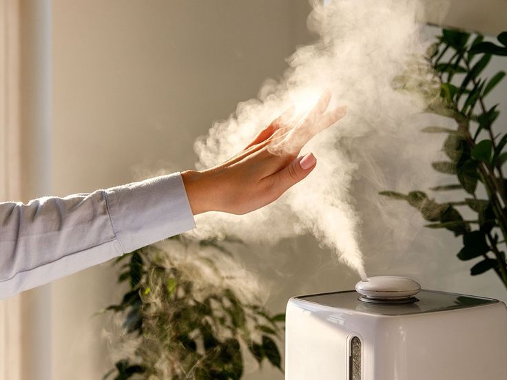 Humidifier, alat bantu menghadapi cuaca panas terik yang sedang berlangsung