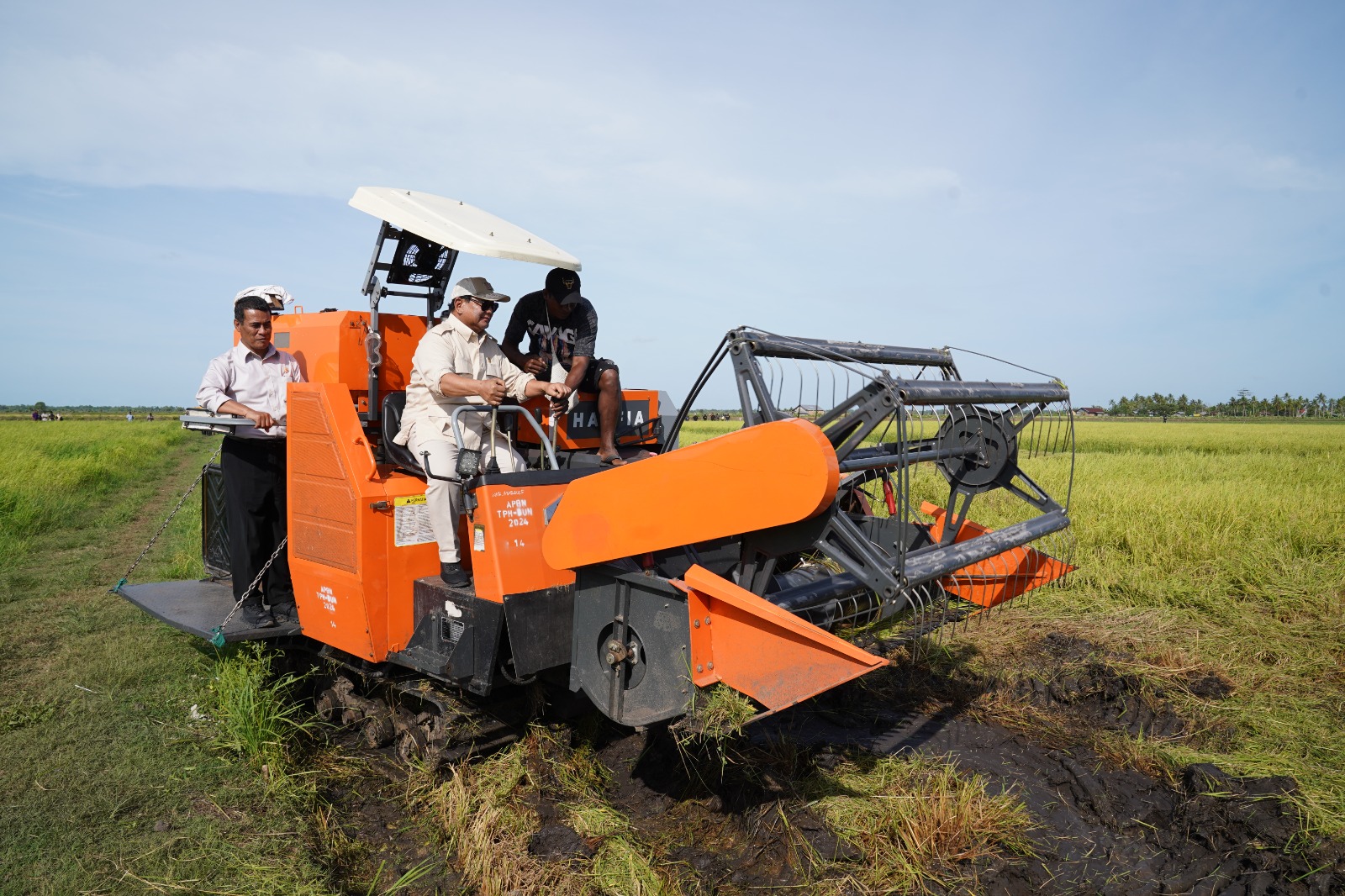 Presiden Prabowo saat meninjau tanaman padi di merauke menaiki Comnine Harvester