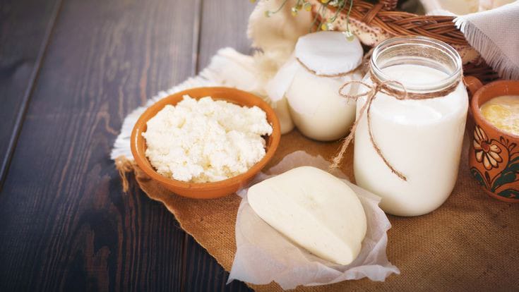 Langkah mudah membuat keju mozarella dari susu kambing