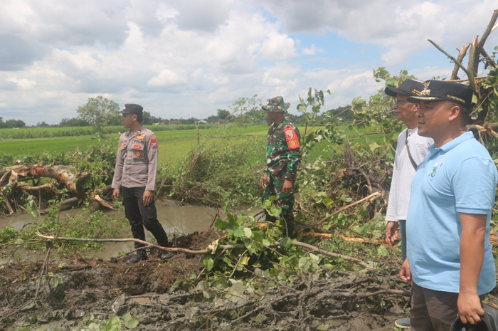 Kades Sidokerto bersama Forkopimcam Mojowarno memantau normalisasi sekunder Tejo 2 di desanya yang jadi penyebab banjir selama 17 tahun belakangan