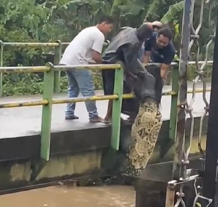 Tangkapan layar video viral wanita nekat melakukan percobaan bunuh diri di Mancilan, Mojoagung, Jombang