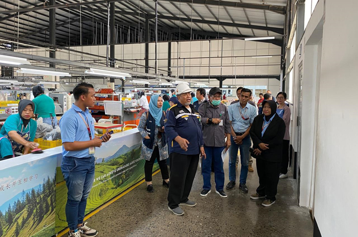 Salah satu kegiatan yang dilakukan bidang tata bangunan dan pertanahan Dinas PUPR Jombang di tahun 2024