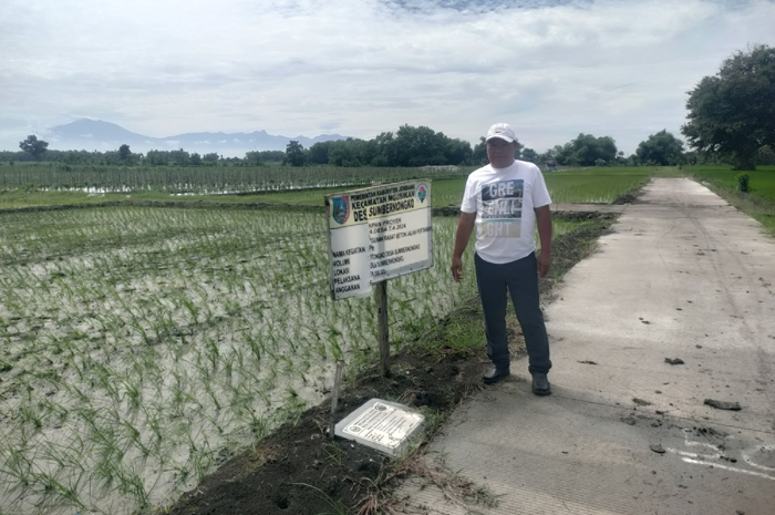Kepala Desa Sumbernongko Sumartono menunjukkan realisasi pembangunan rabat beton jalan petanian di area persawahan Dusun Nongko.