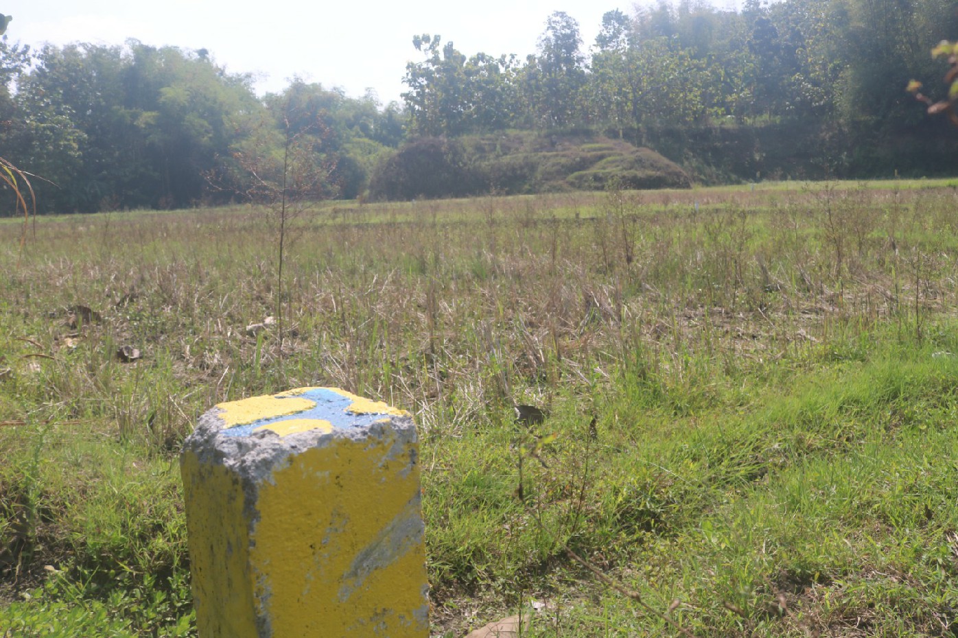 Lahan di Desa Purisemanding, Kecamatan Plandaan sudah dibebaskan pemerintah pusat 2023 lalu rencananya dibangun Embung Purisemanding