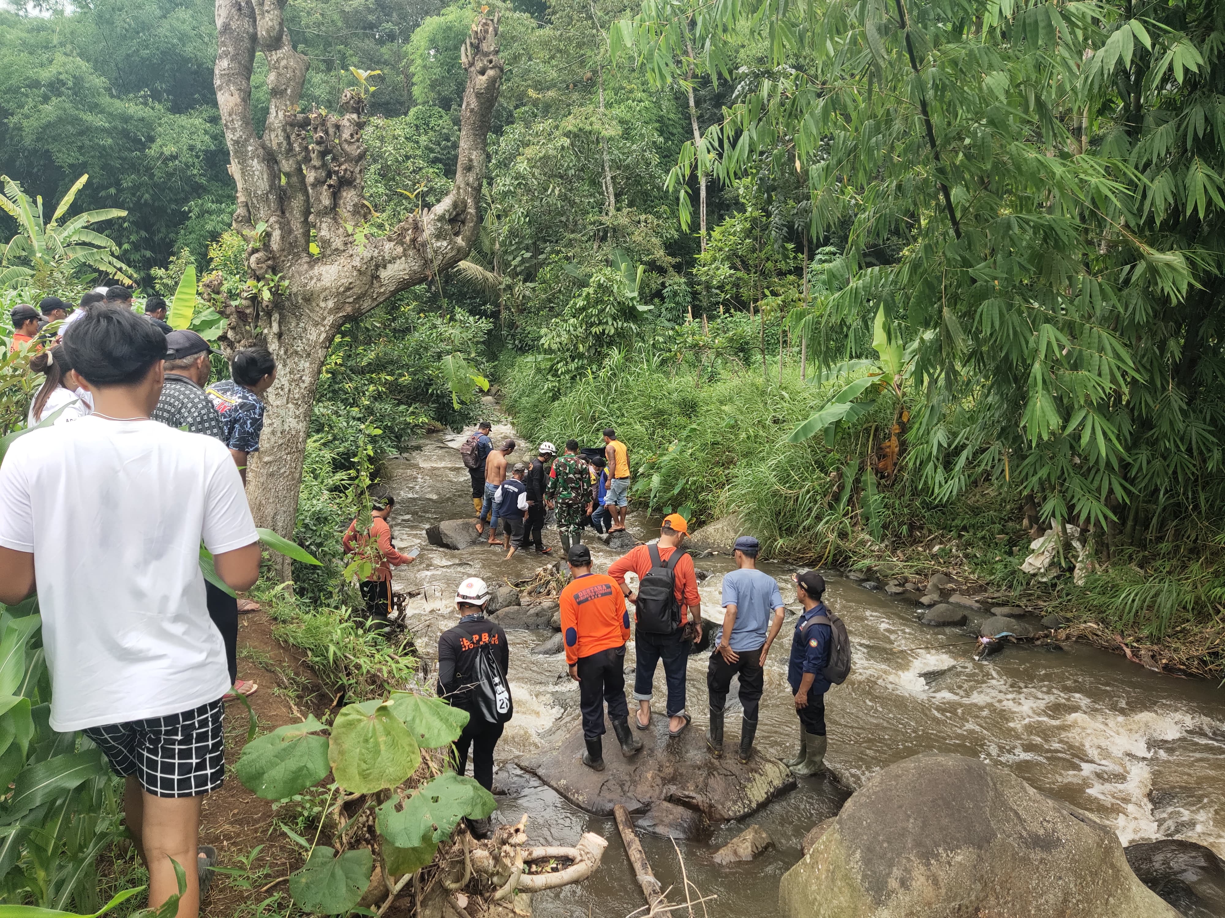 Lokasi penemuan G, balita berusia 4 tahun yang hilang di Wonosalam, Jombang