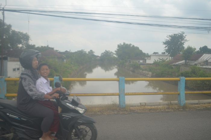 Sejumlah saluran anak sungai Afvour Watudakon akan dinormalisasi oleh Pemkab Jombang di tahun ini