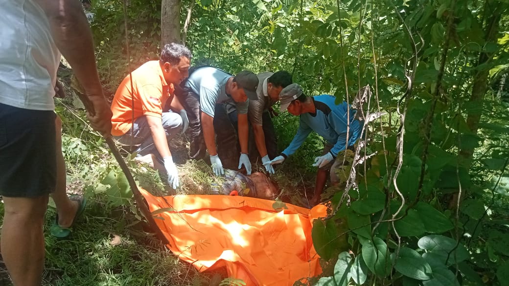 Proses evakuasi jasad pria di dalam hutan Desa Marmoyo, Jombang