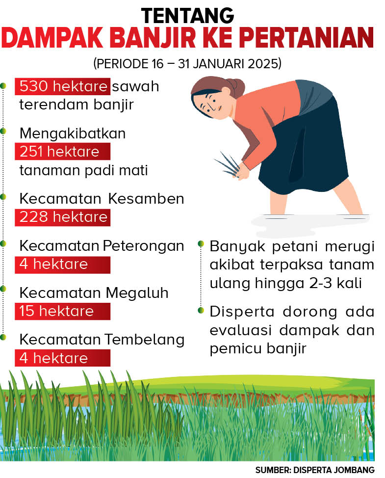 Sebaran tanaman padi di Jombang yang mati gegara terendam banjir