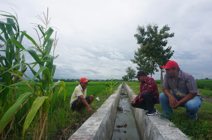 Kepala Desa Tejo Ponedi (tengah) bersama perangkat desa saat menyapa petani di lokasi pembangunan saluran irigasi lahan persawahan Dusun Klampisan