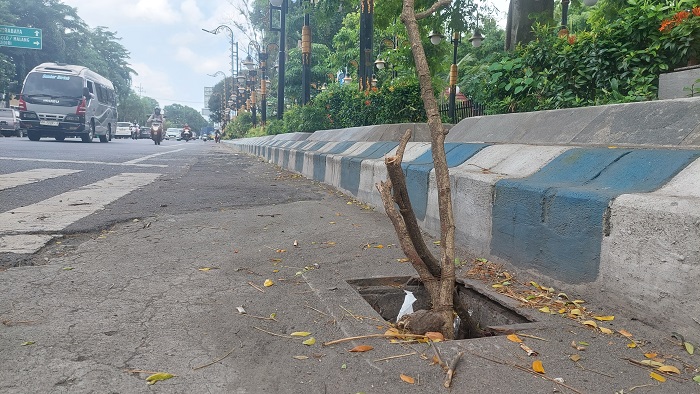 Kondisi lubang drainase di Jl gus Dur Jombang yag rusak dan kini ditandai kayu