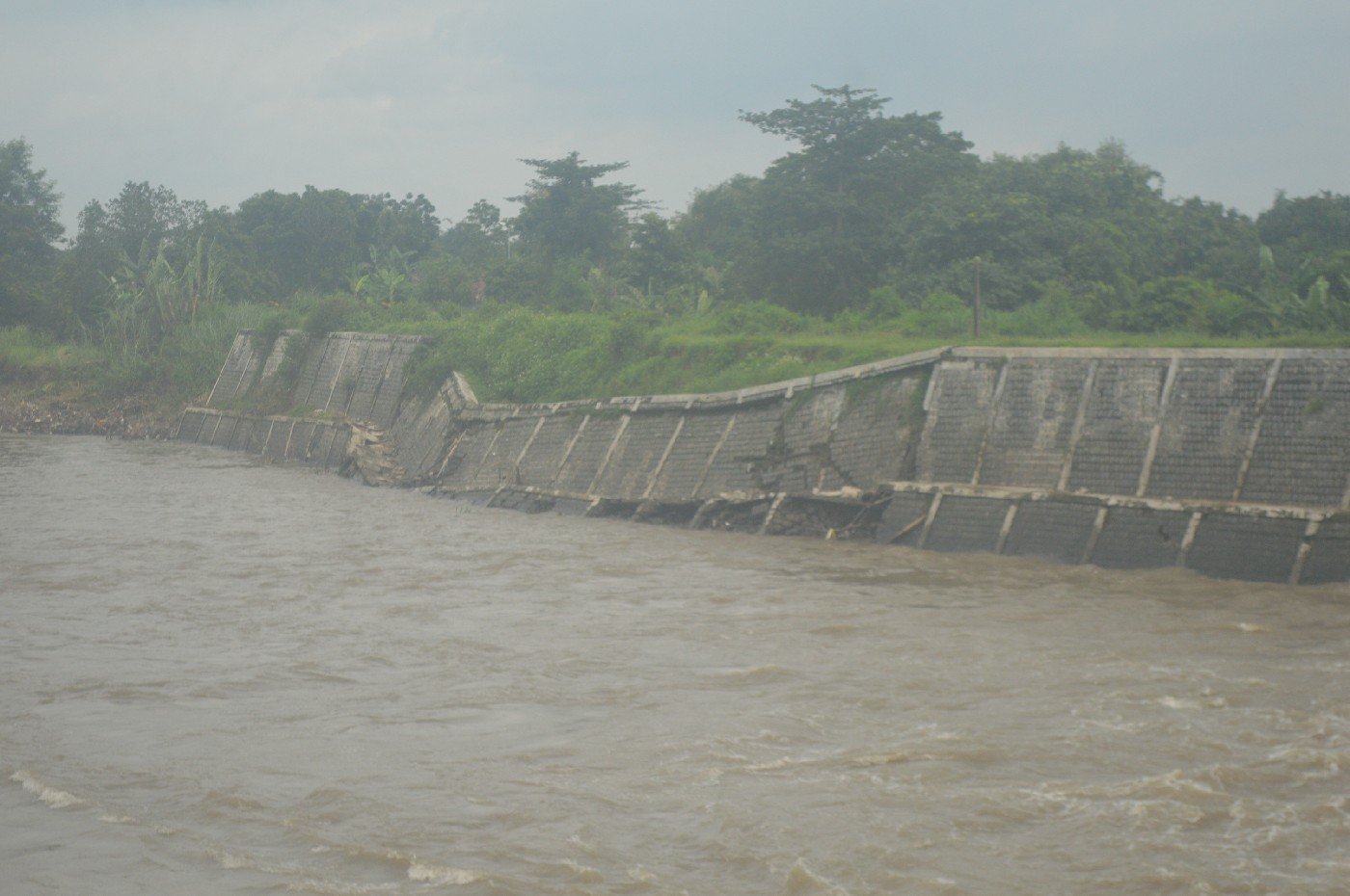Kondisi talud Sungai Ngotok Ring Kanal di Desa Budugsidorejo, Kecamatan Sumobito Jombang yang ambrol (31/1).