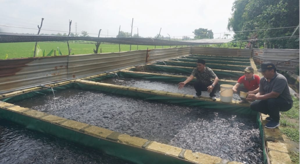Kepala Desa Ceweng Imam Subata didampingi jajaran perangkat dan pengurus BUMDes Citra Mandiri saat memberikan pakan lele memanfaatkan lahan Pemkab Jombang di belakang kantor Desa Ceweng.
