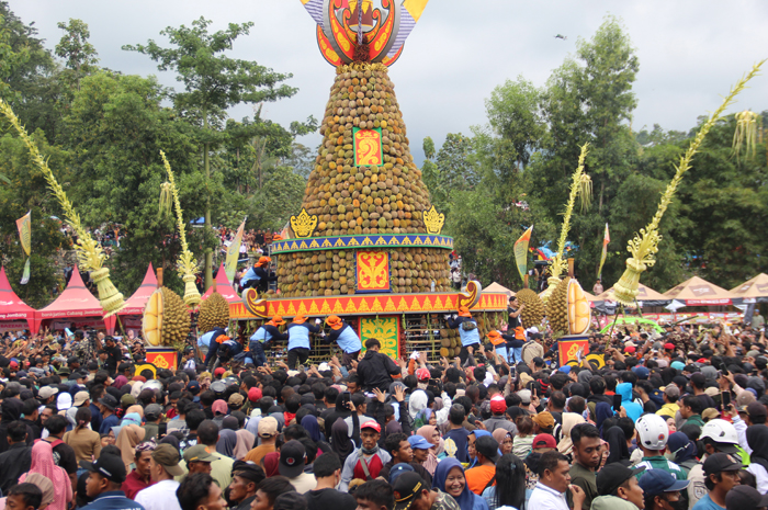 Ribuan warga berebut gunungan durian di event Kenduren Wonosalam 2025