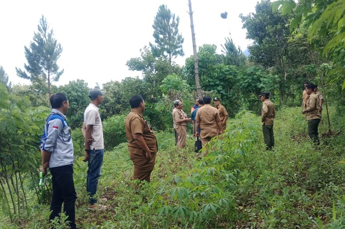 Petugas gabungan dari Pemkab Jombang dan Perhutani melakukan survei lokasi huntara di Wonosalam Jombang (26/2).