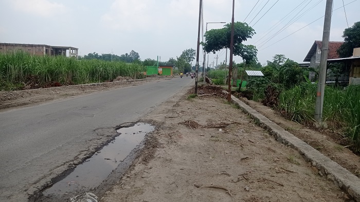 DITEBANG: Pohon peneduh dan penerangan jalan umum (PJU) di terdampak peningkatakan jalan ruas Cukir-Mojowarno