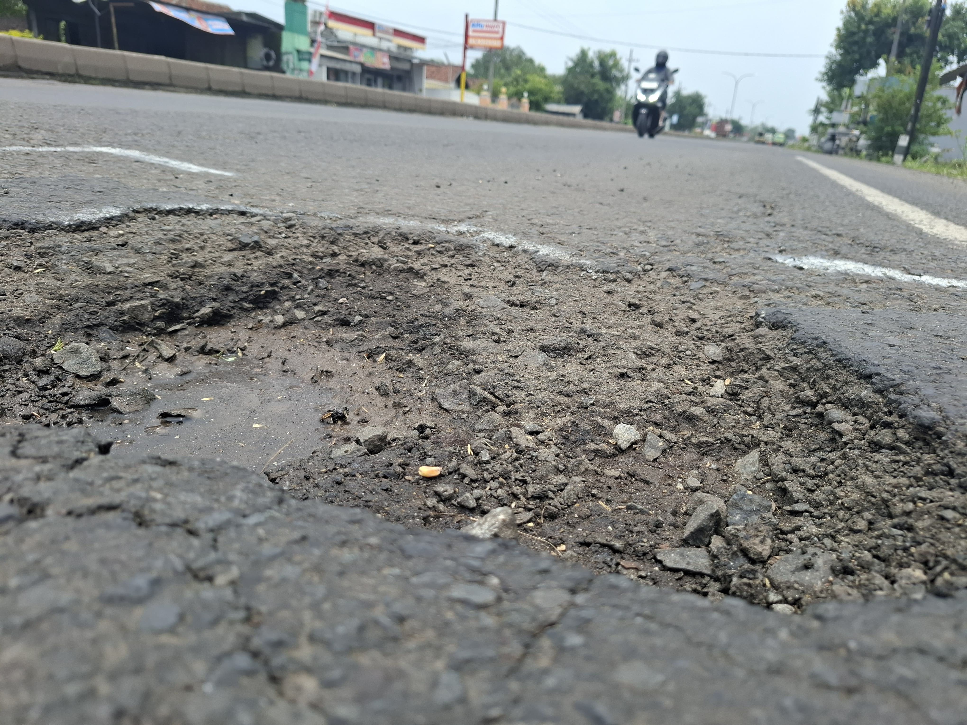 Kondisi jalur arteri nasional di Desa Sambirejo, Jogoroto, Jombang yang masih berlubang hingga Jumat (7/3) siang