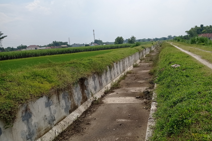 Kondisi irigasi Pariterong di Desa Brambang, Kecamatan Diwek yang ditumbuhi semak belukar dan masih tak berfungsi