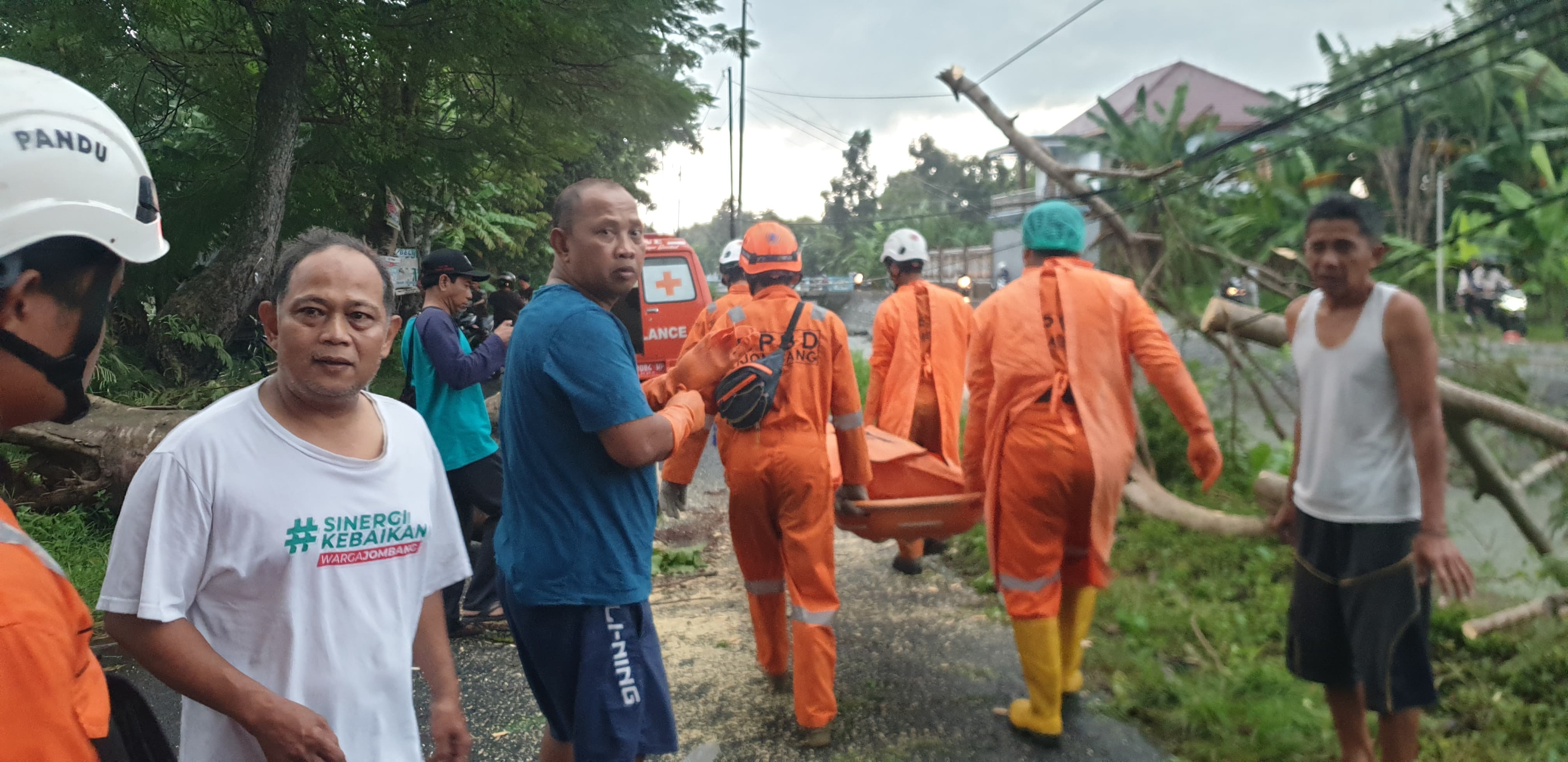 Petugas dari BPBD Jombang saat mengevakuasi jasad korban yang tewas tertimpa pohon